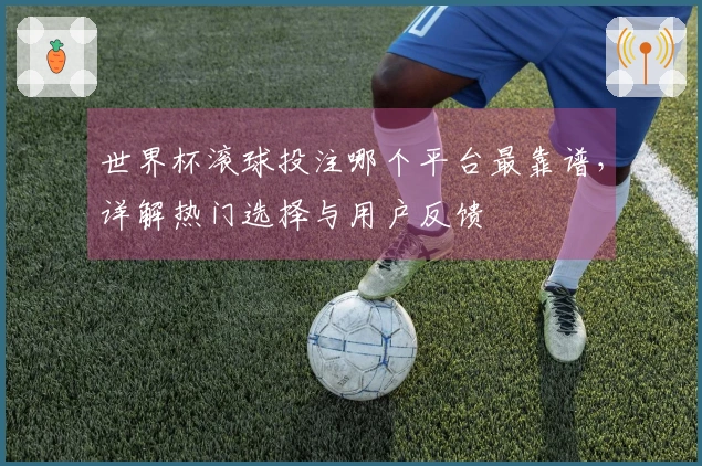 世界杯滚球投注哪个平台最靠谱，详解热门选择与用户反馈
