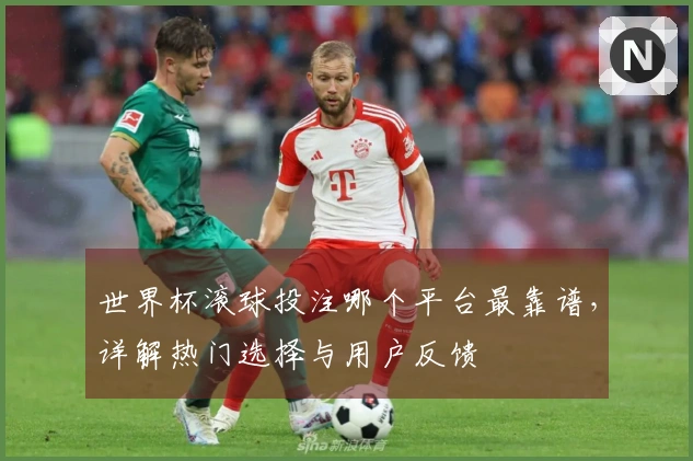 世界杯滚球投注哪个平台最靠谱，详解热门选择与用户反馈