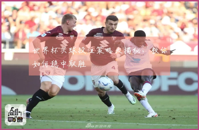 世界杯买球投注策略大揭秘，教你如何稳中取胜