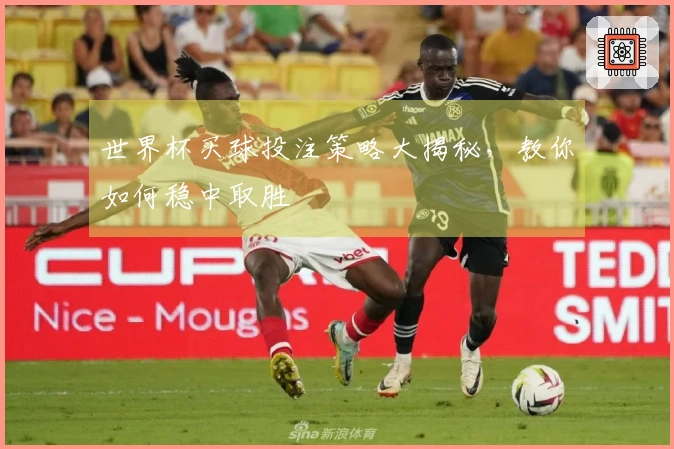 世界杯买球投注策略大揭秘，教你如何稳中取胜
