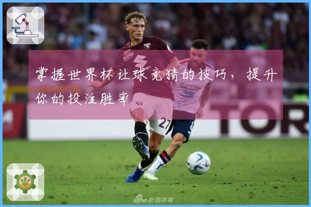 掌握世界杯让球竞猜的技巧，提升你的投注胜率